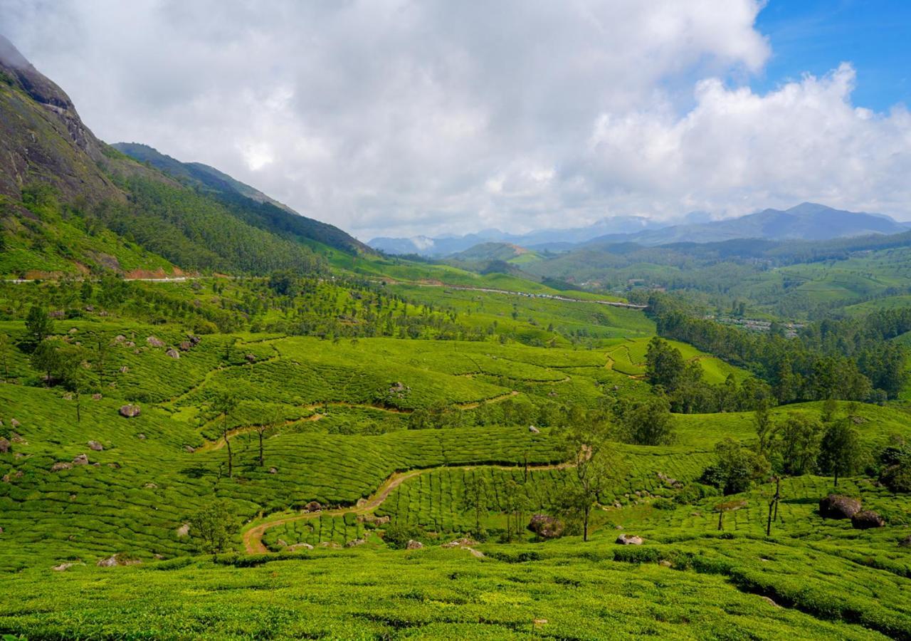 Arivikad Tea Bungalow Munnar By Voye Homes Suryanelli Extérieur photo
